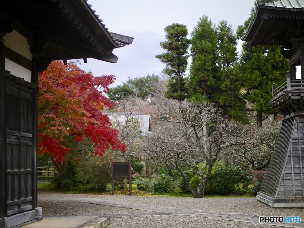 頼朝建立の長勝寺