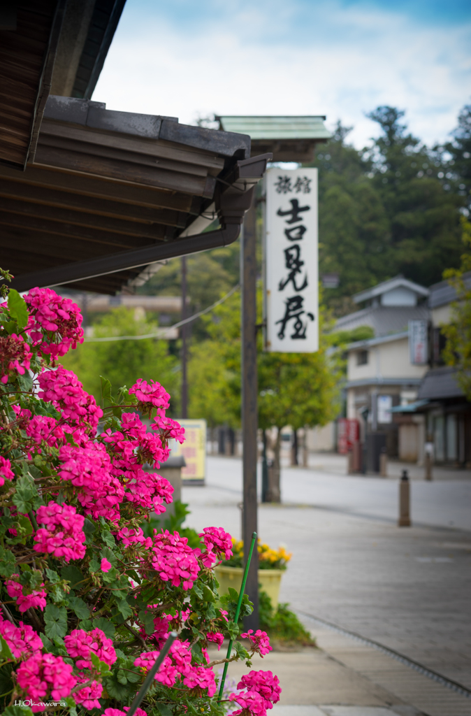 参道の古旅館