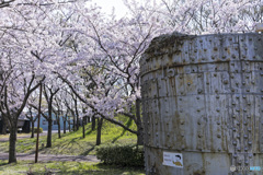 桜公園