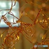 穂積家住宅のアート展示 Debbie HAN