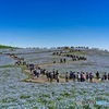 フィネモラの丘-2