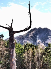 奥日光白根山