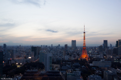 Twilight-1