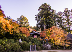 香取・観福寺-2