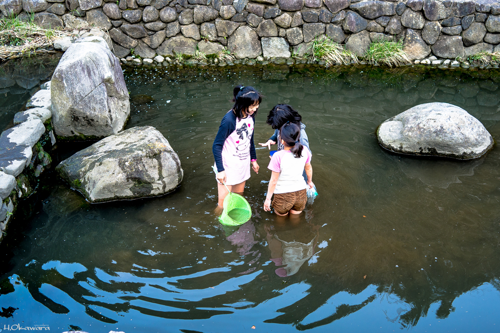 魚とり