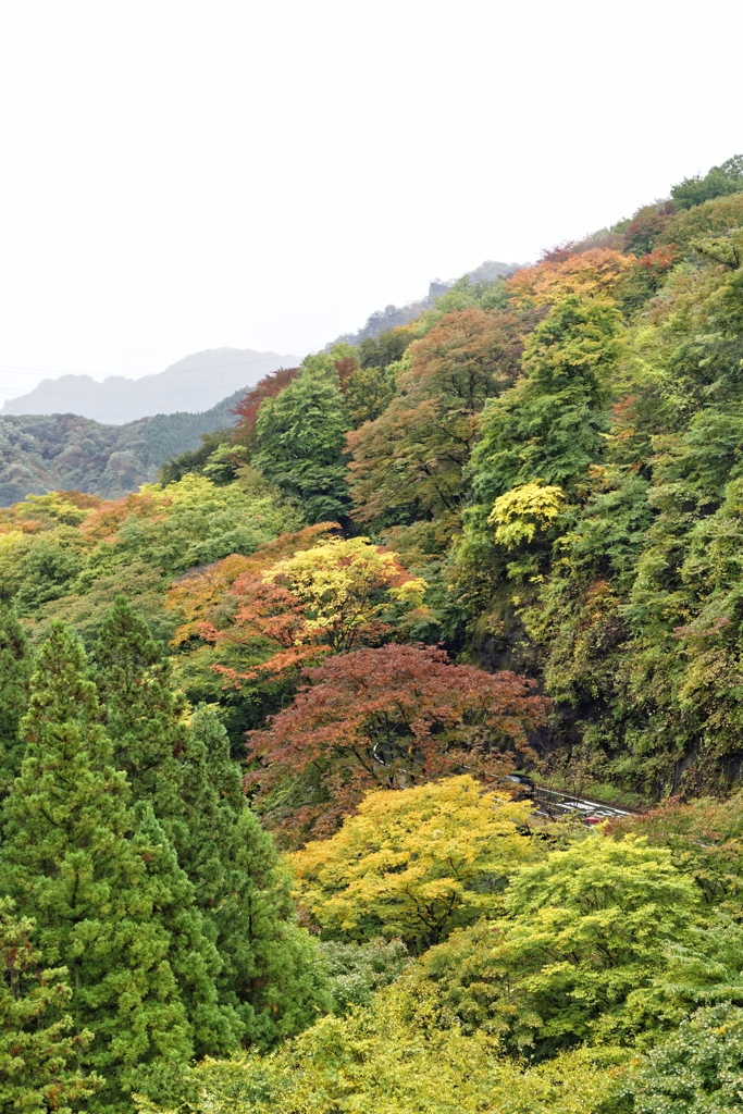 碓氷峠