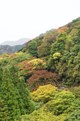 碓氷峠