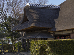 家老屋敷の雛祭