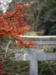 香取神宮-3