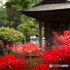 西蓮寺-1