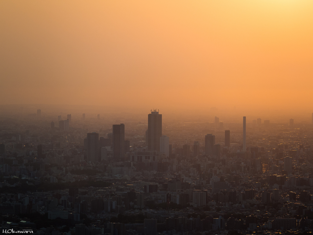 大都会の夕焼け-2