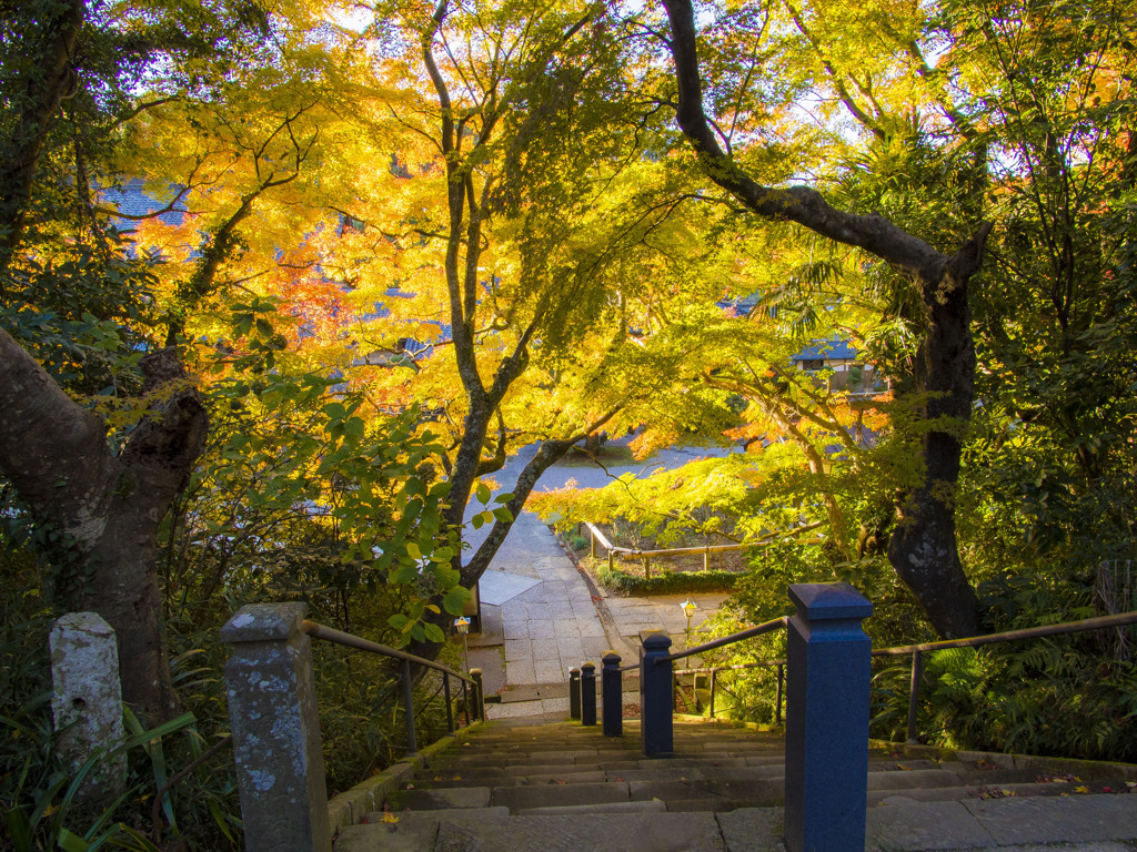 香取・観福寺-1