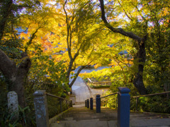 香取・観福寺-1