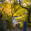 香取・観福寺-1