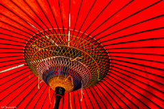 嵐山の筍日傘