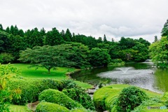 美術館の庭園