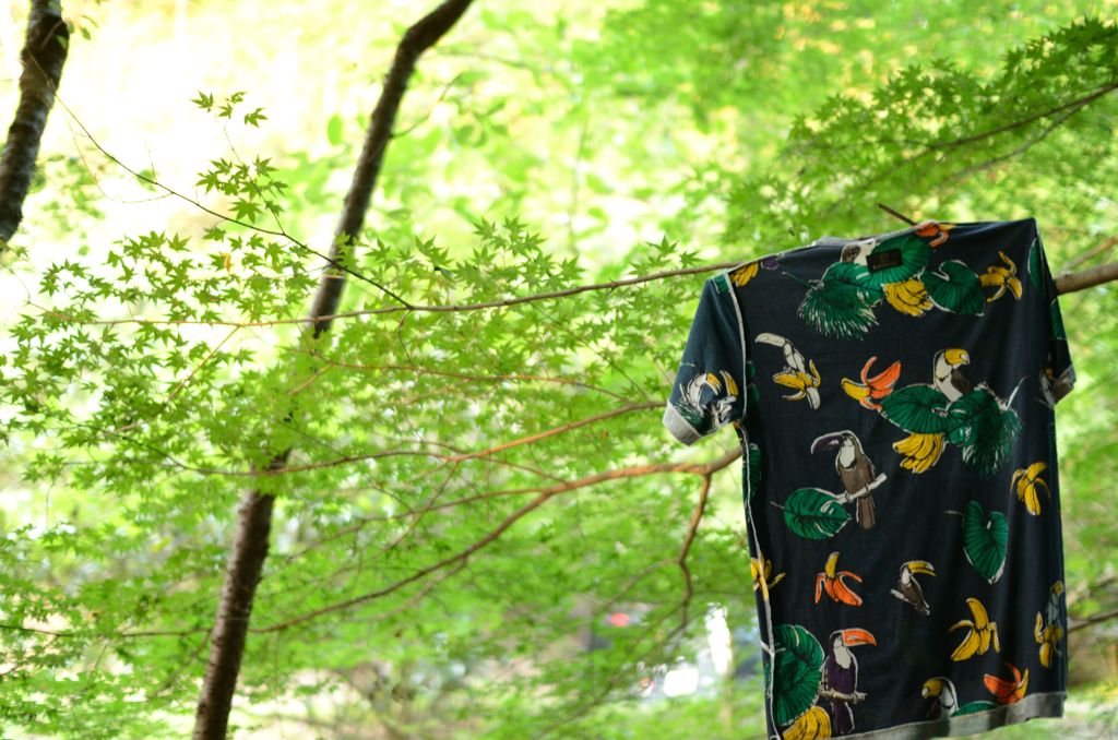 ひと夏の思い出