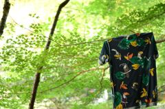 ひと夏の思い出