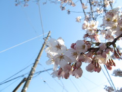 IMG_0101