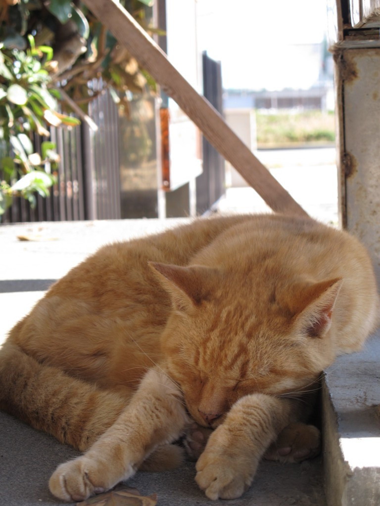 眠る。