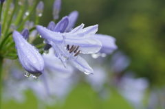 雨の休日　Ⅵ