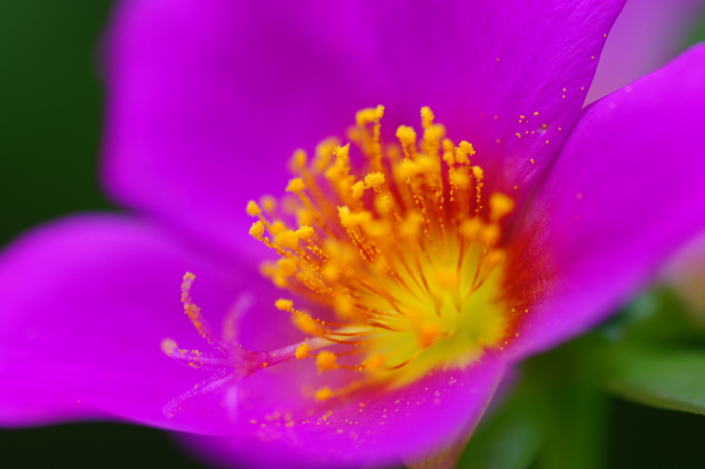 クローズアップ