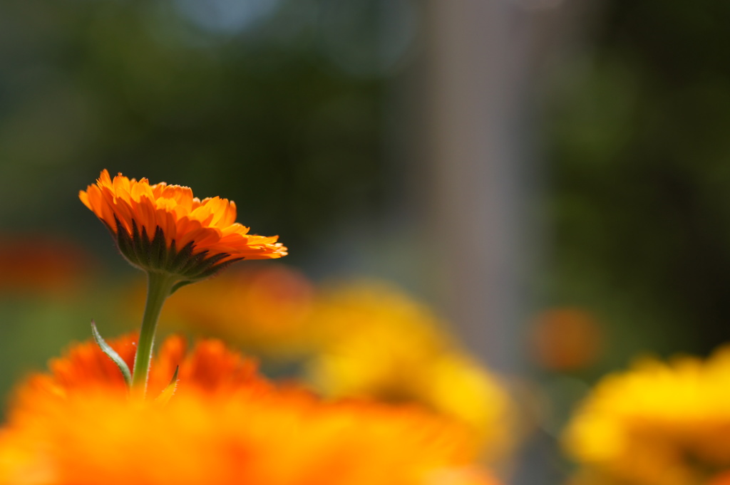 ちょっとだけ背伸び