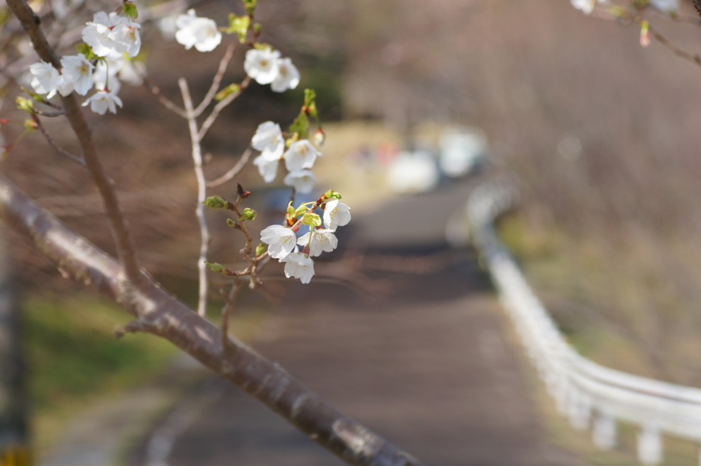 春の陽気