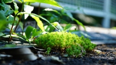 スポットライト