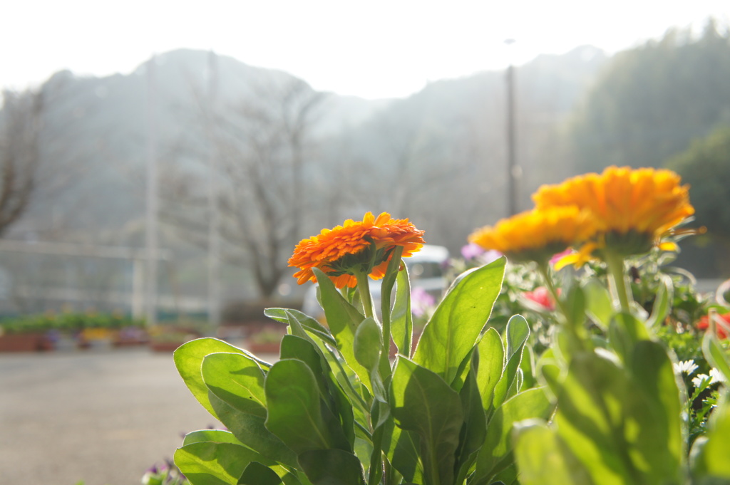 やさしい光に包まれて