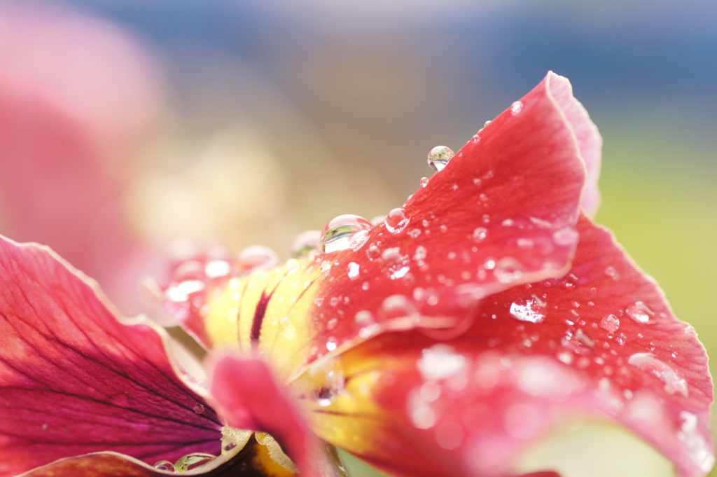 水滴
