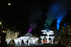 イルミネーション