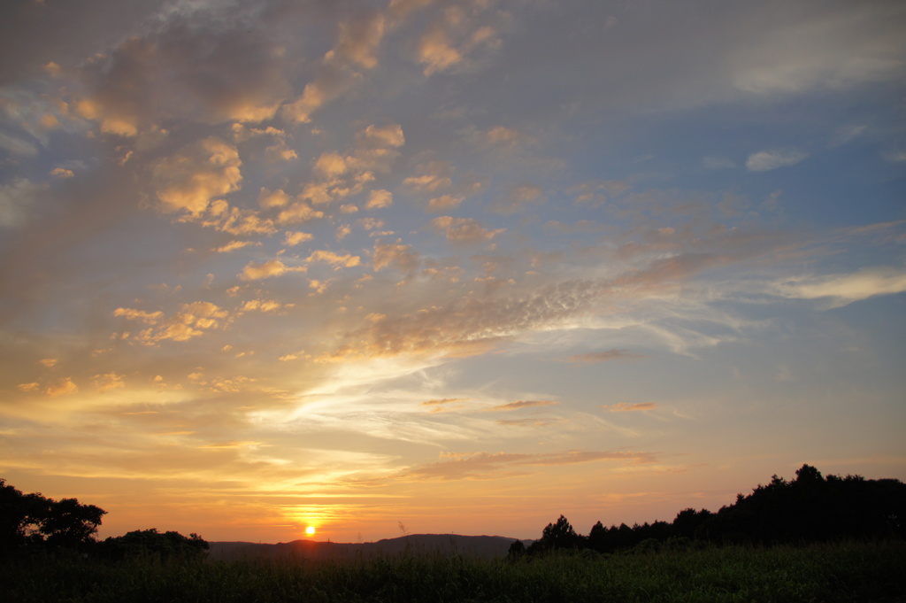 久しぶりの・・・