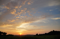 久しぶりの・・・