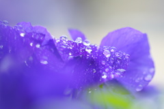 水滴