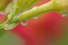 水滴