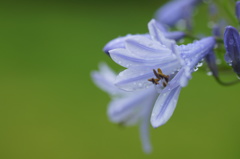 雨の休日　Ⅴ