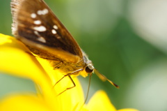 きれいに撮ってる