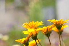 休日のひととき