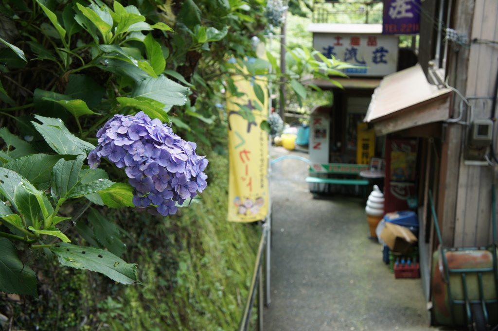 どこかで見た・・・