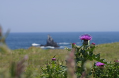 潮風の香り