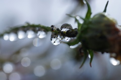 秋雨のなかで 2　