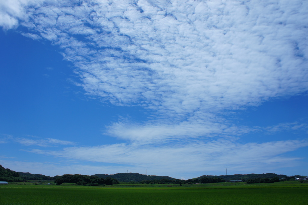 雲・稲