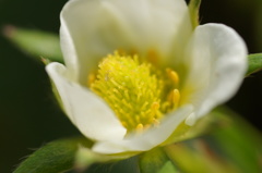 ミクロの世界で…