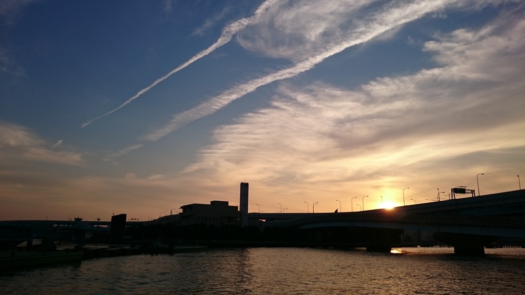 飛行機雲と夕陽