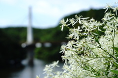 休日の朝 80