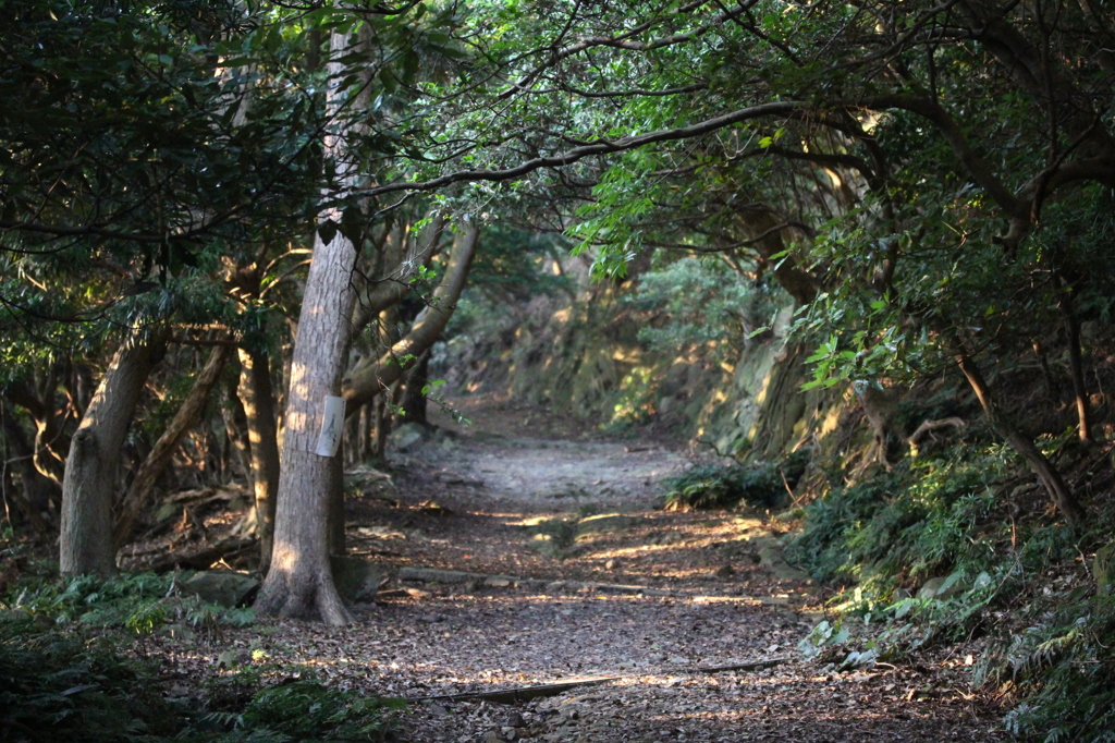 山道