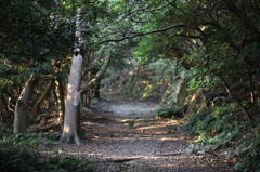 山道