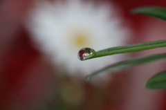 雫