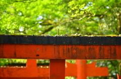 おいし